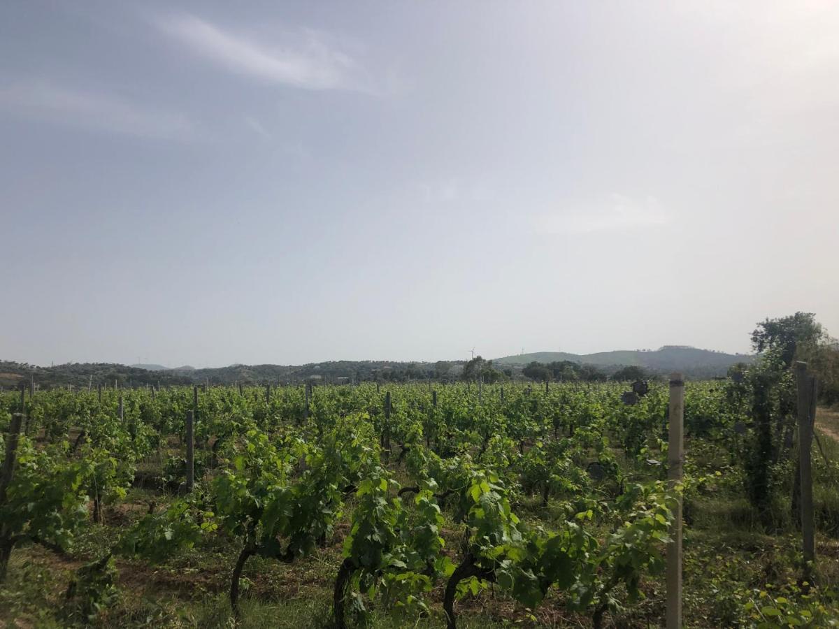 Agriturismo Donna Germana Cirò Marina Εξωτερικό φωτογραφία